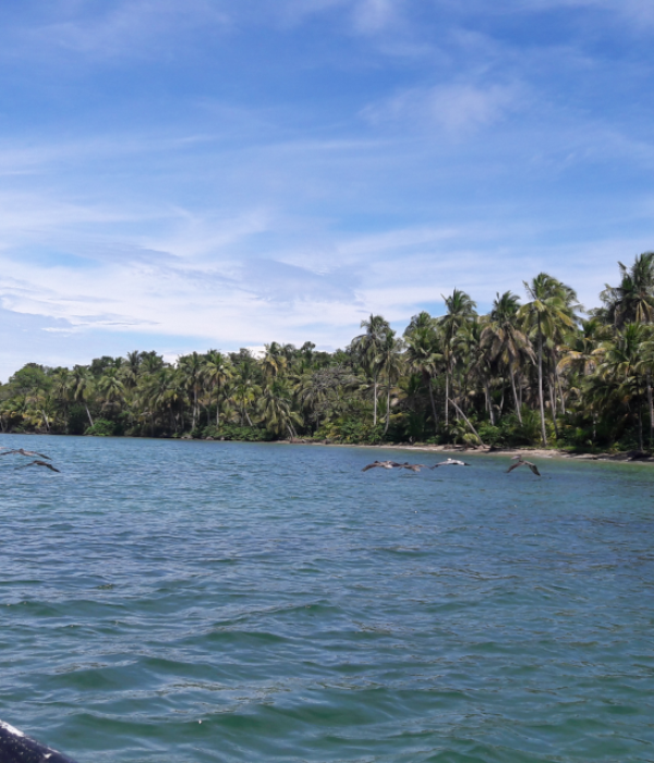 Bocas Del Toro, how to go from Panama?
