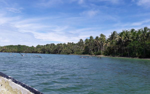 Bocas del Toro, ¿Cómo ir desde Panamá?