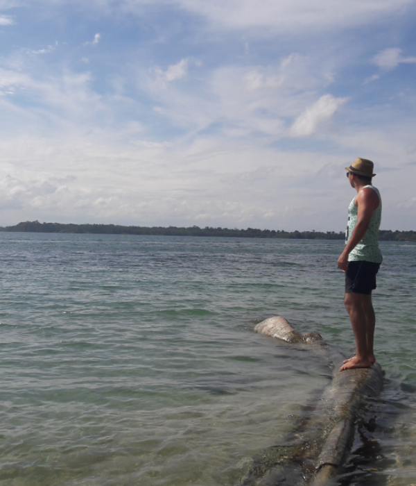 Isla Colón en Bocas Del Toro Playas a Conocer